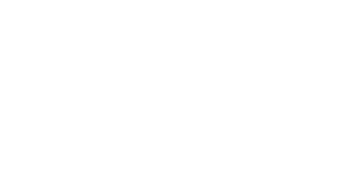 Chanz Casino logo
