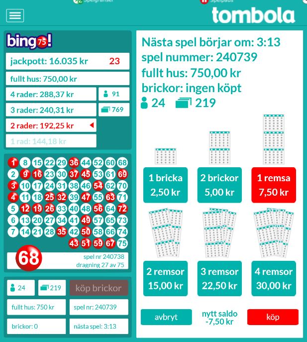 Tombola bingo