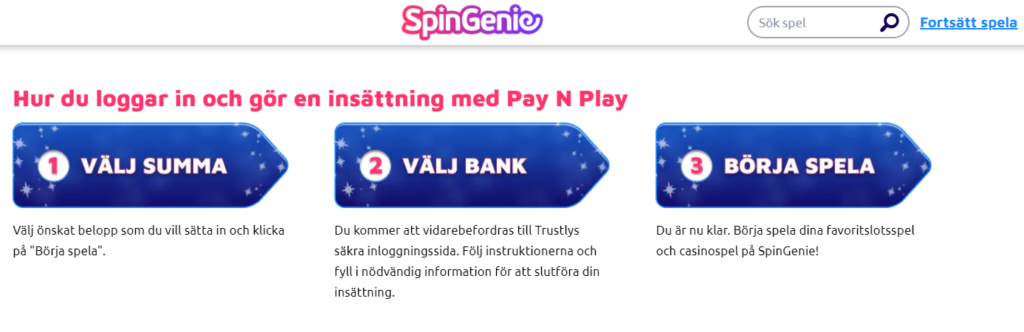 SpinGenie pay n ply