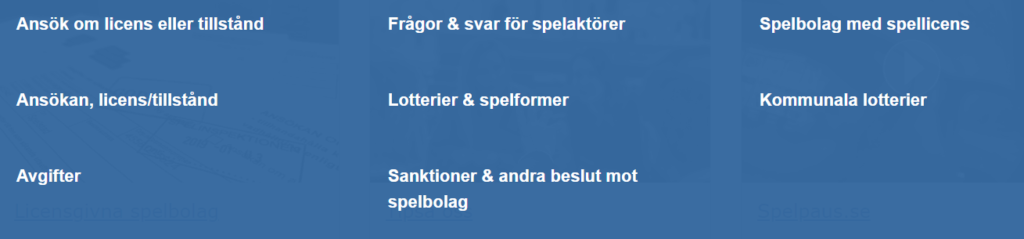 Spelinspektionens roll