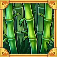 Big Bamboo mystery symbol