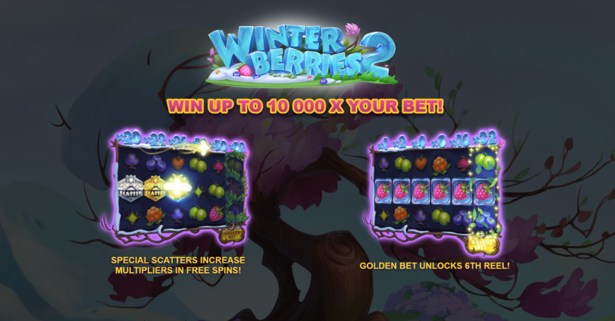 Winterberries 2 banner