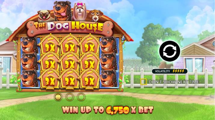 Dog house slot 