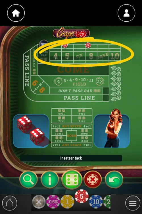 Place Bets