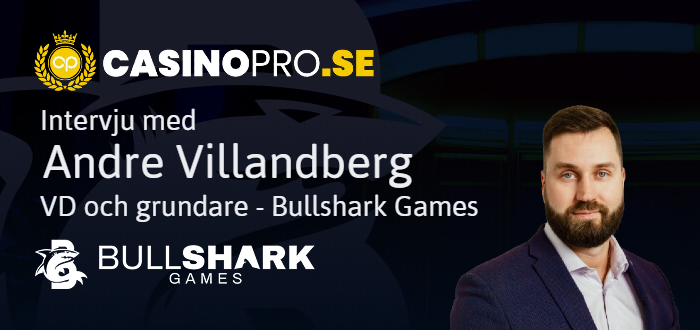 bullshark intervju