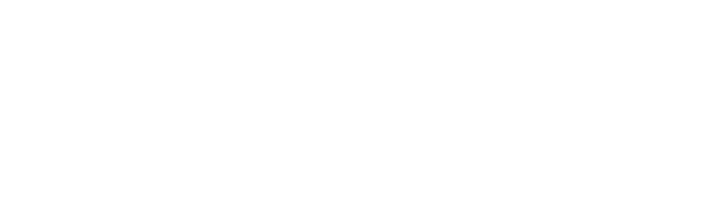 Snurr Casino logo